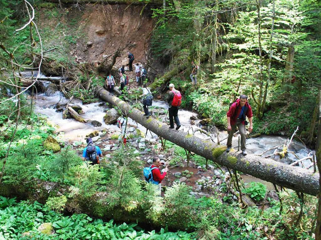 Rafting Camp Tara Center Tri Vodenice Bastasi Экстерьер фото